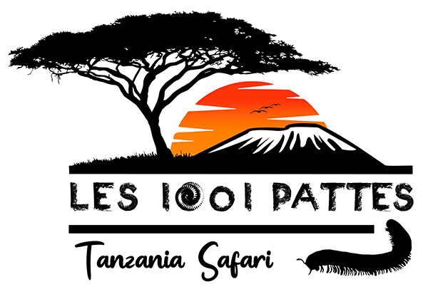 Safari - Les 1001 Pattes