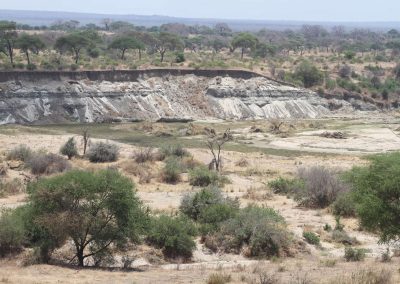 vastes-espaces-parc-tarangire-afrique-tanzani