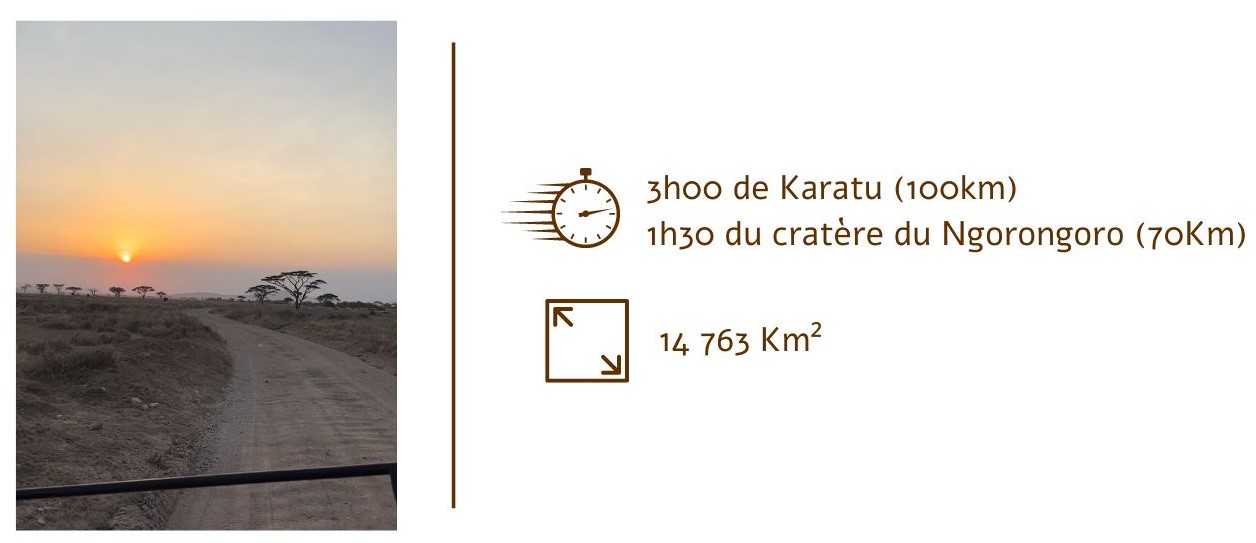 infos-parcs-serengeti