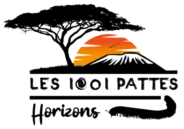 Les 1001 Pattes - Horizons