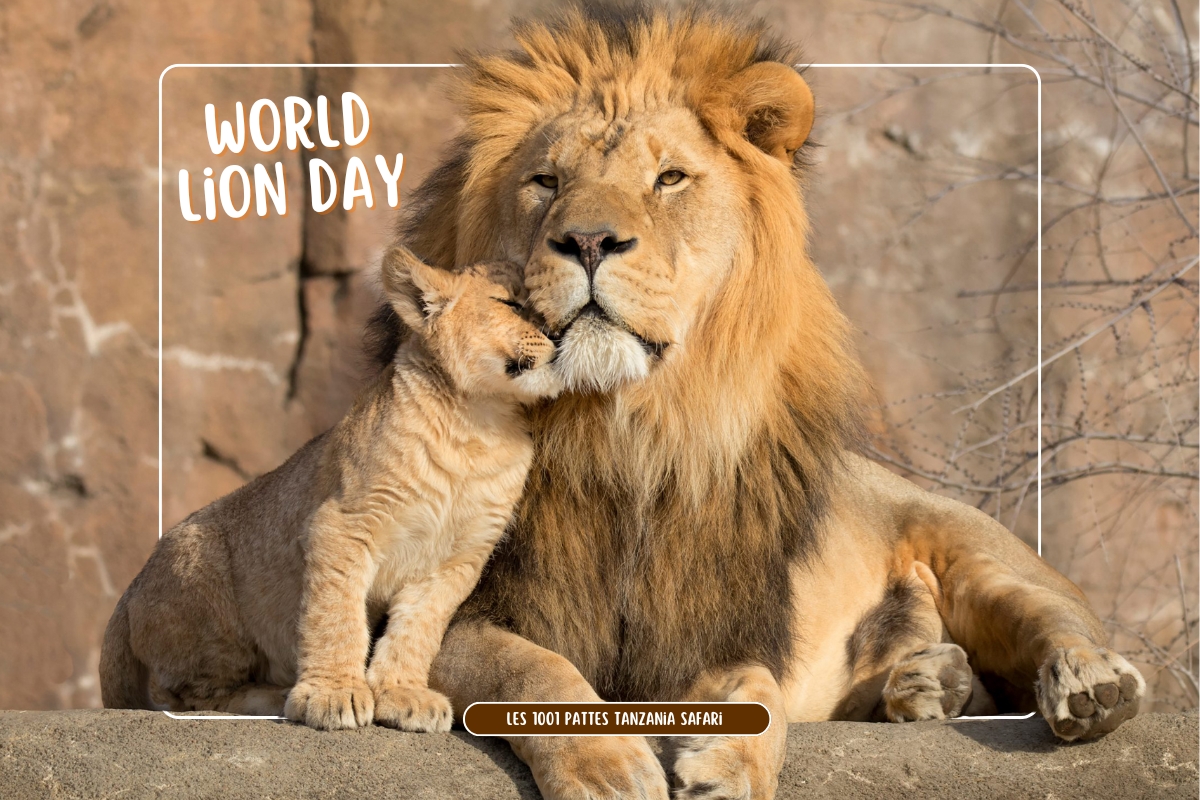 world-lion-day