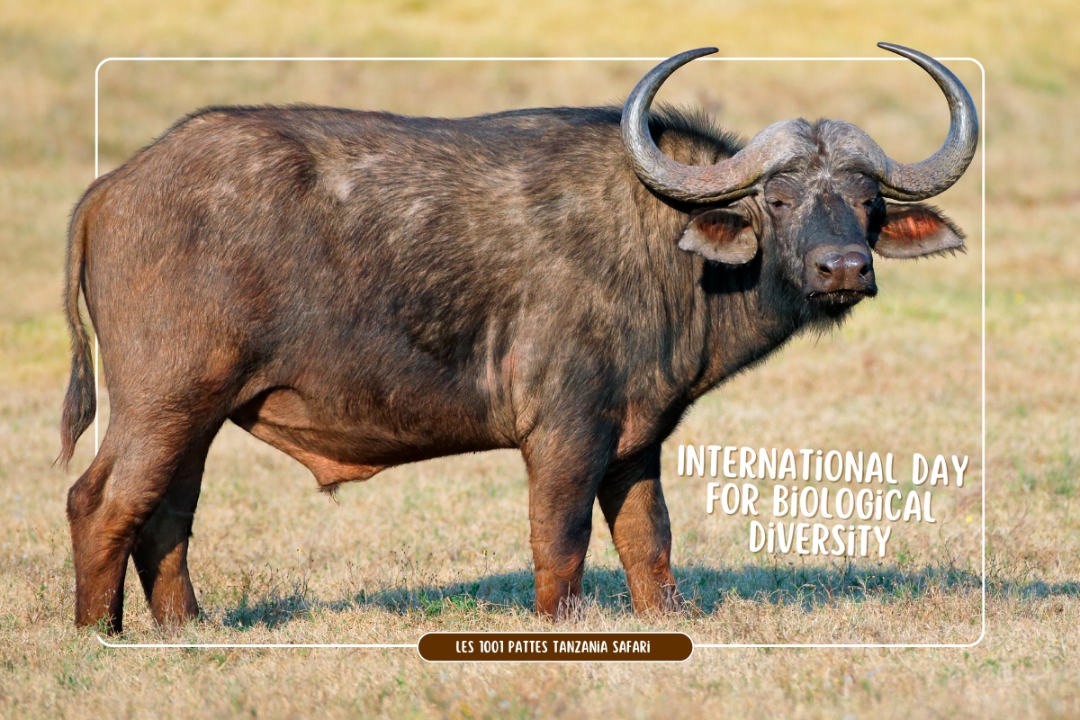 world day biodiversity