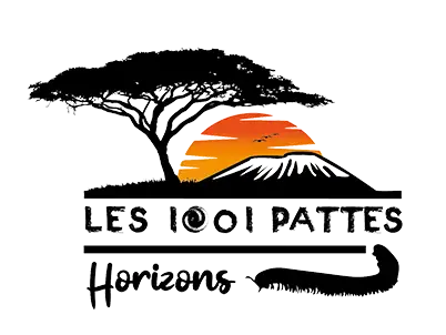 Safari - Les 1001 Pattes