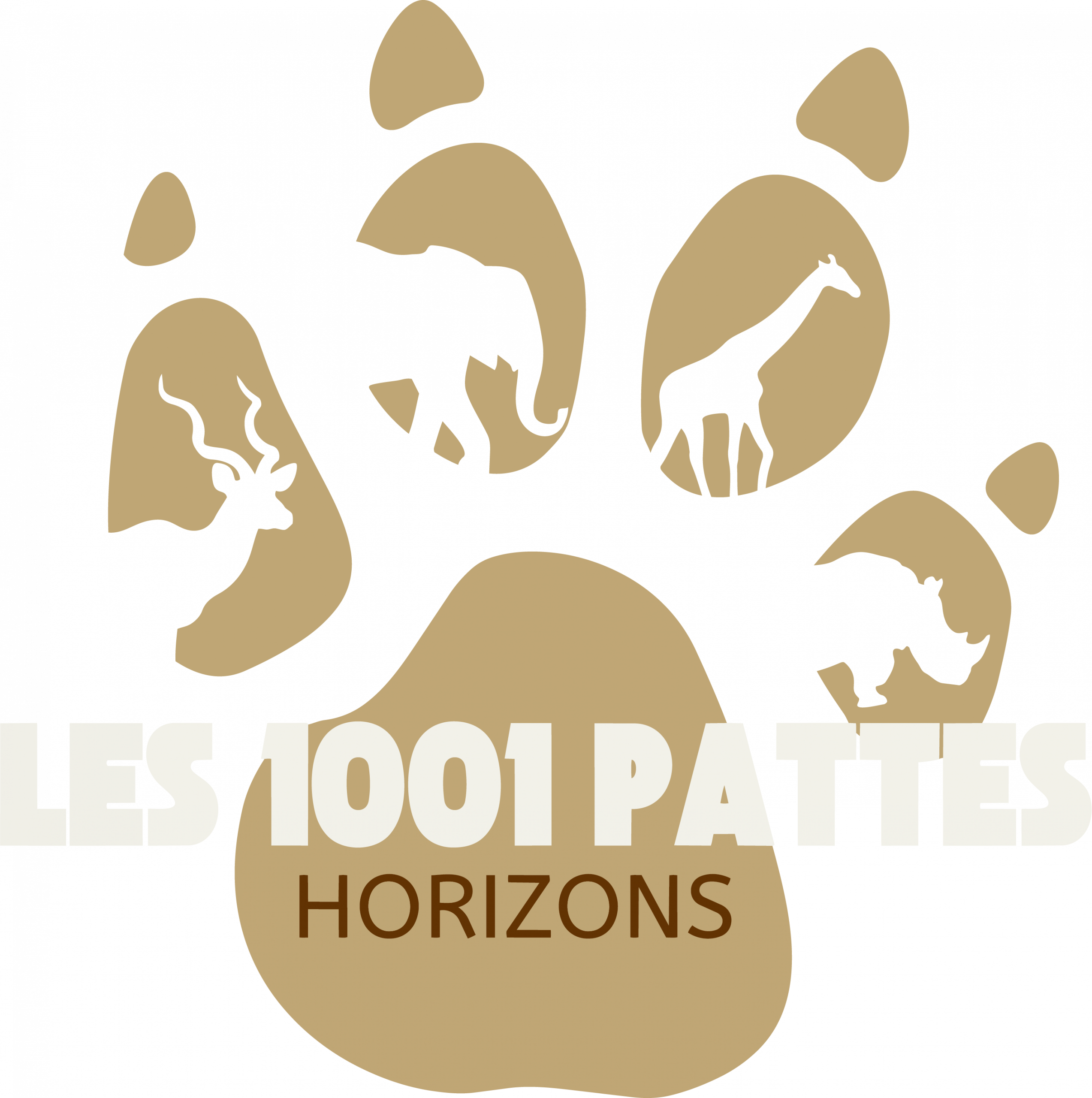 Safari - Les 1001 Pattes