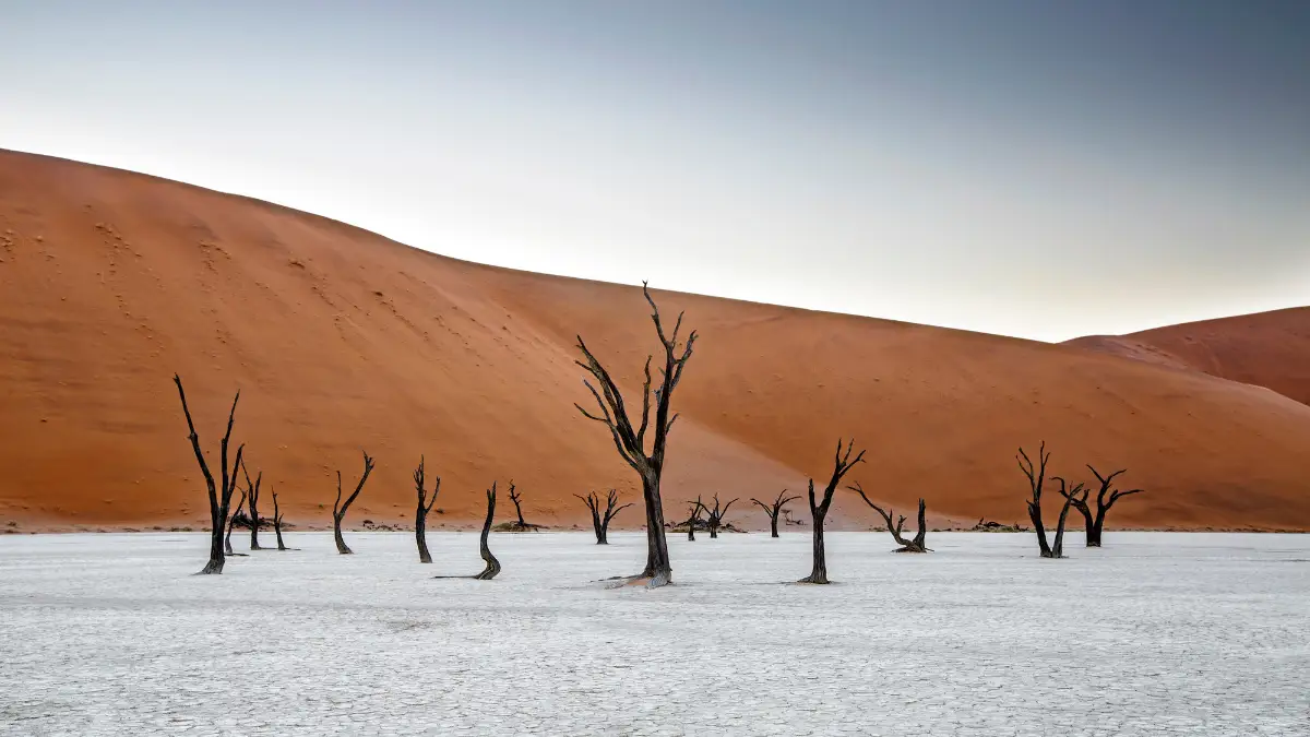 Sous le charme namibien