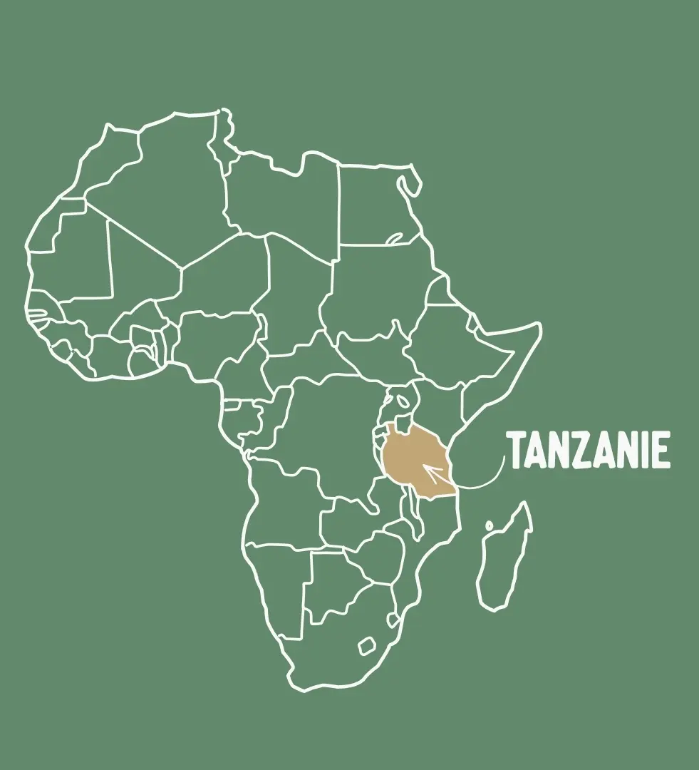Carte Tanzanie
